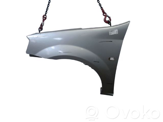 Guardabarro   6001549971,6001549971