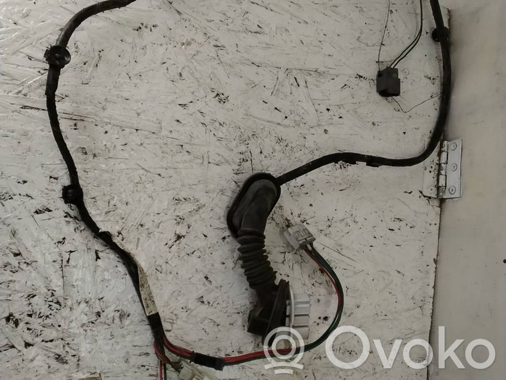 Cableado de puerta delantera   C10067210F