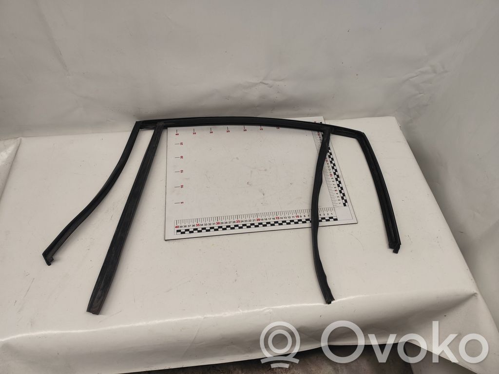 BMW X1 E84 Rubber seal rear door window/glass 