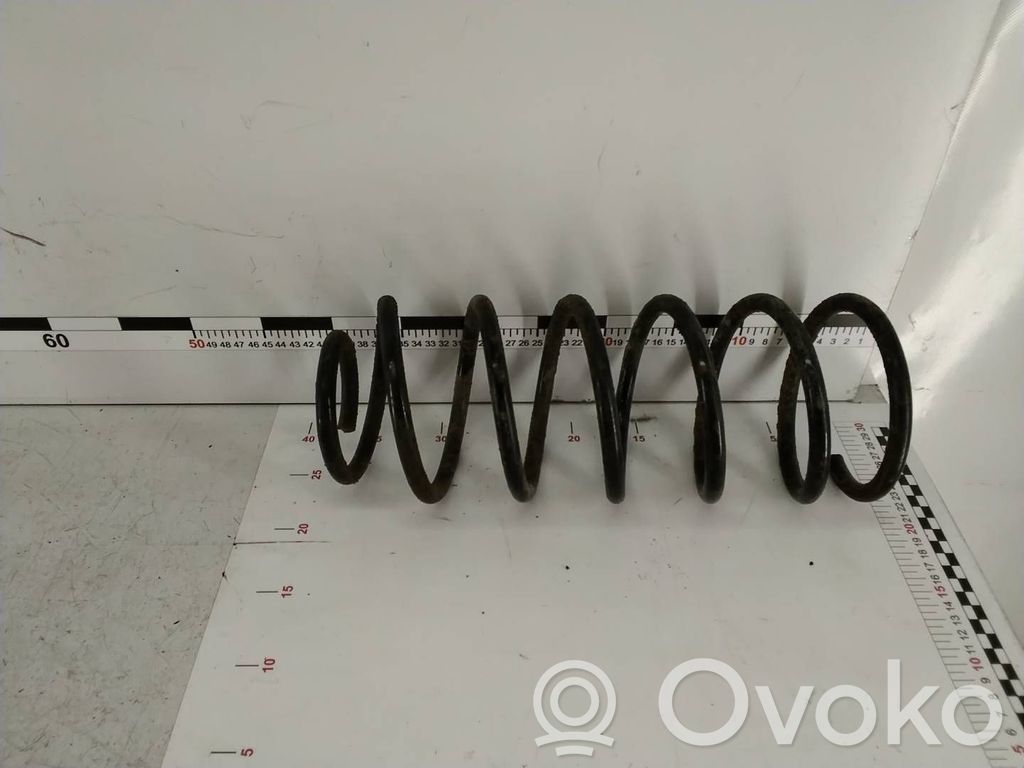Front coil spring