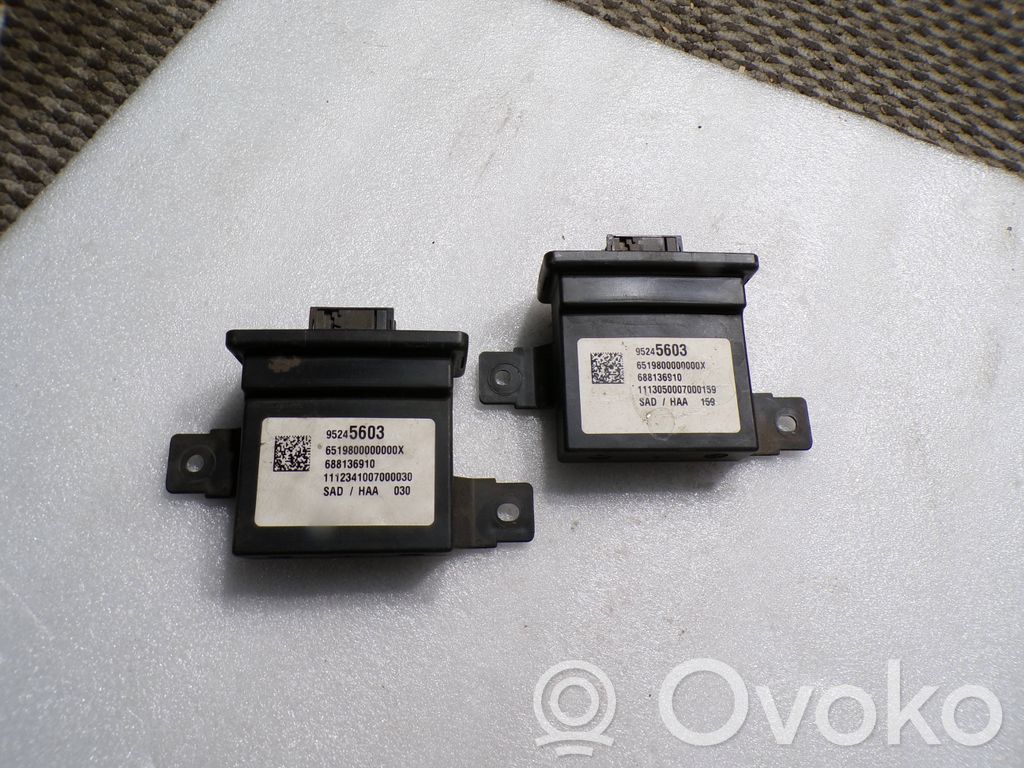 Module d'éclairage LCM   95245603,6519800000000X,688136910