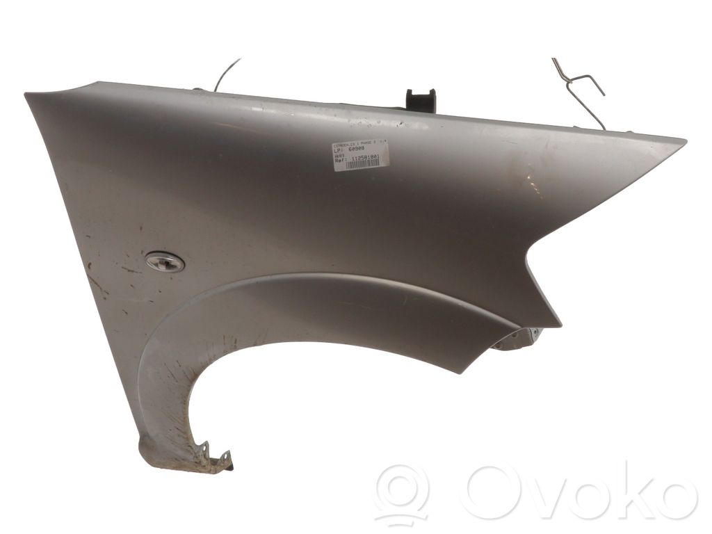 Citroen C3 Guardabarro 