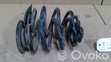 Rear coil spring   33536756977