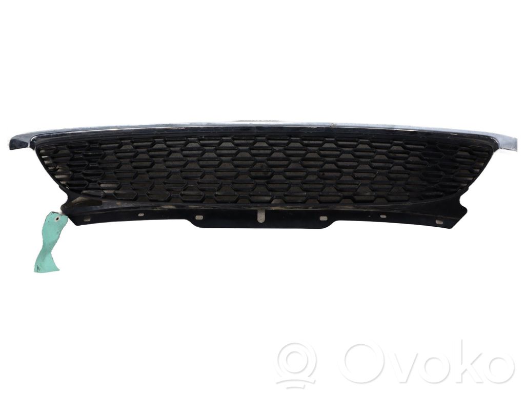 Atrapa chłodnicy / Grill   51117255125