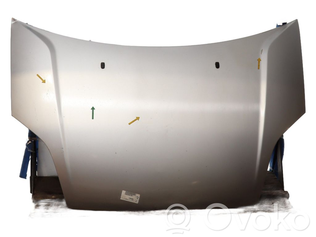 Vano motore/cofano   1531070