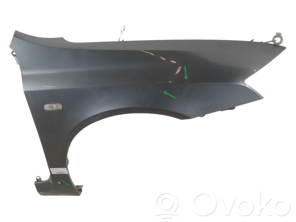 Guardabarro   51717860