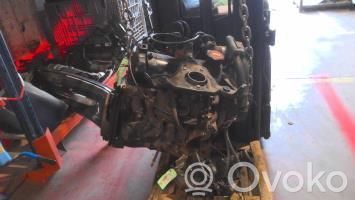Motor   7701351811