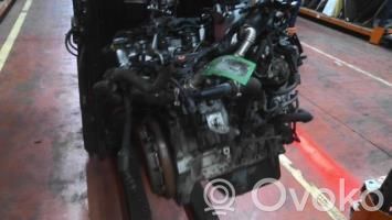 Motore   1611138680