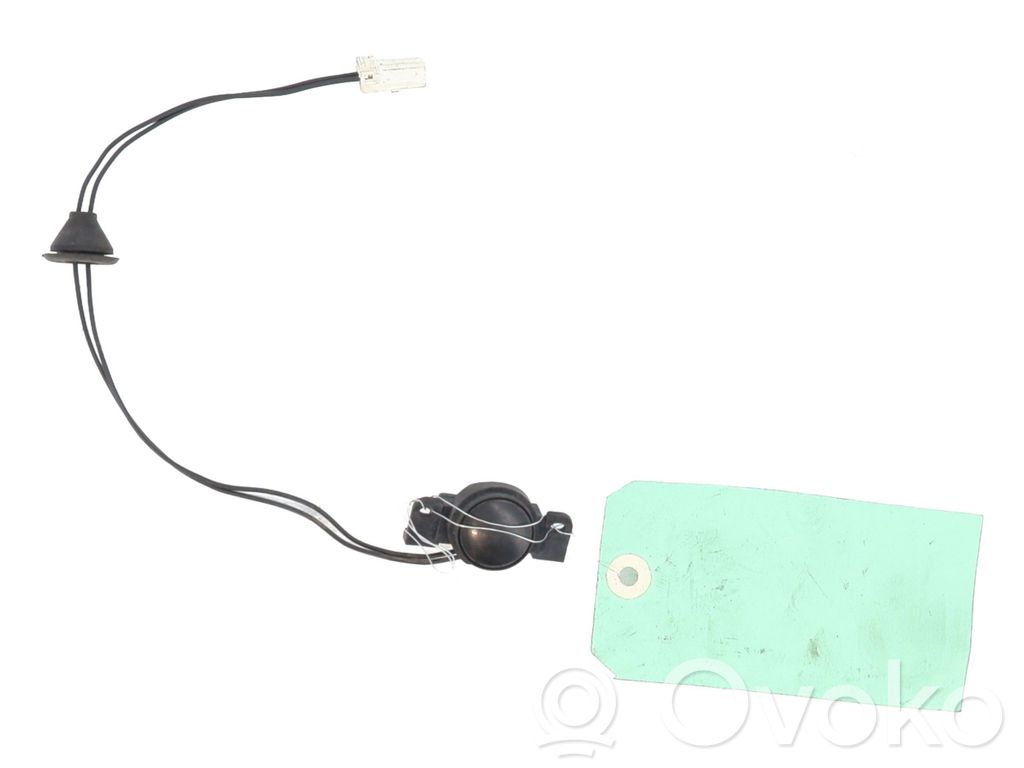 Jaguar X-Type Interruptor para abrir la puerta trasera 