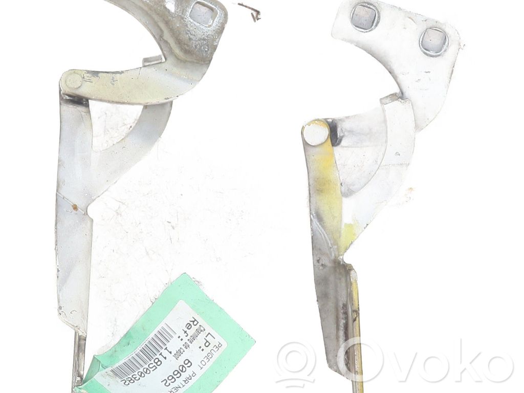 Konepellin saranat   791280