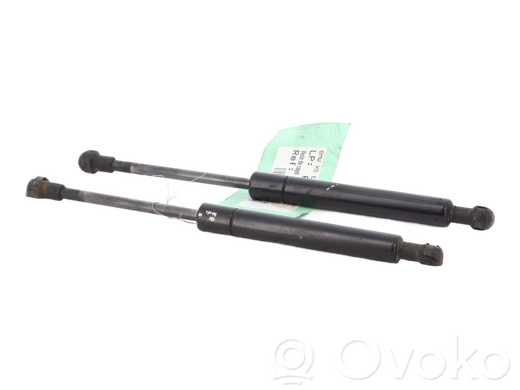 Amortizor capotă motor   51238402551