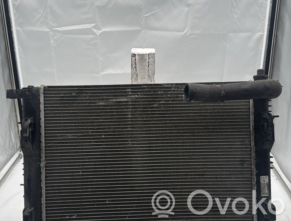 Radiatore di raffreddamento   214100078R