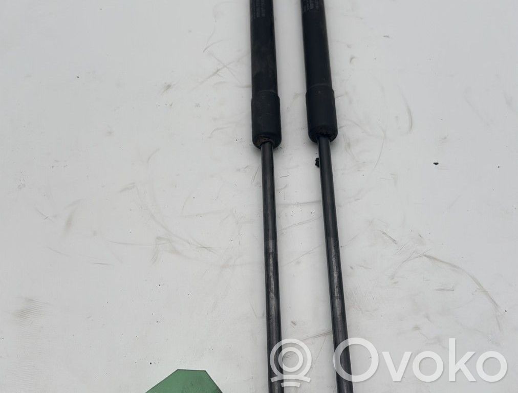 Citroen C4 II Ammortizzatore portellone posteriore/bagagliaio
