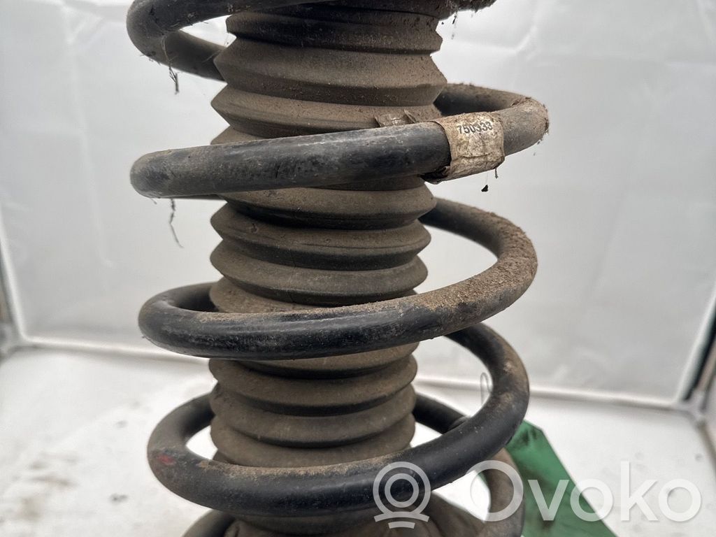 BMW X5 E53 Ammortizzatore anteriore con molla elicoidale 