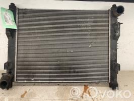 Radiateur de refroidissement   214107326R