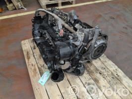 Variklis   0135FZ