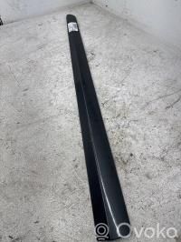 Peugeot 308 Rivestimento della portiera anteriore (modanatura)