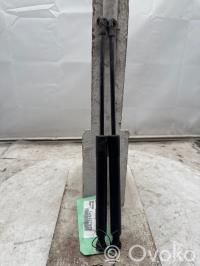 Renault Kangoo II Ammortizzatore portellone anteriore/cofano 
