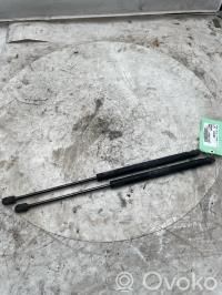 Vérin de capot arrière   1321021