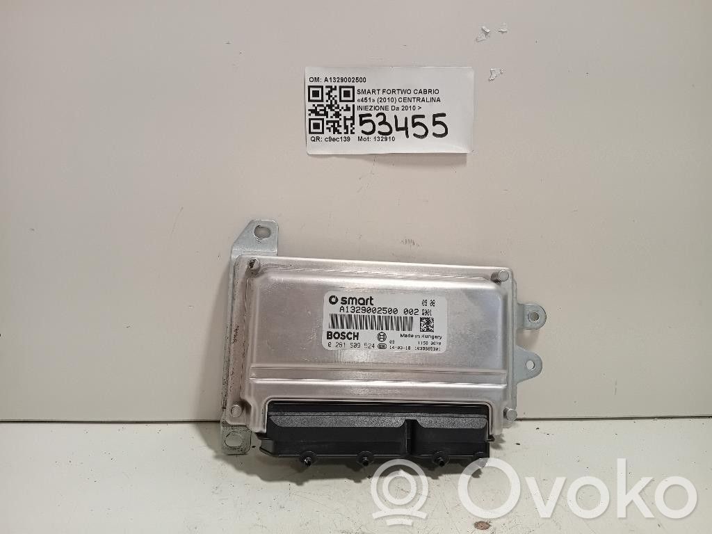 Smart ForTwo II Injection control unit/module 