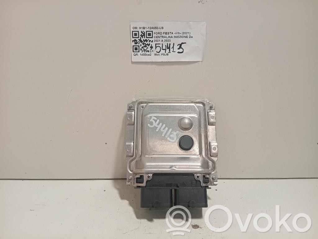 Ford Fiesta Unitate/modul comandă injecție 