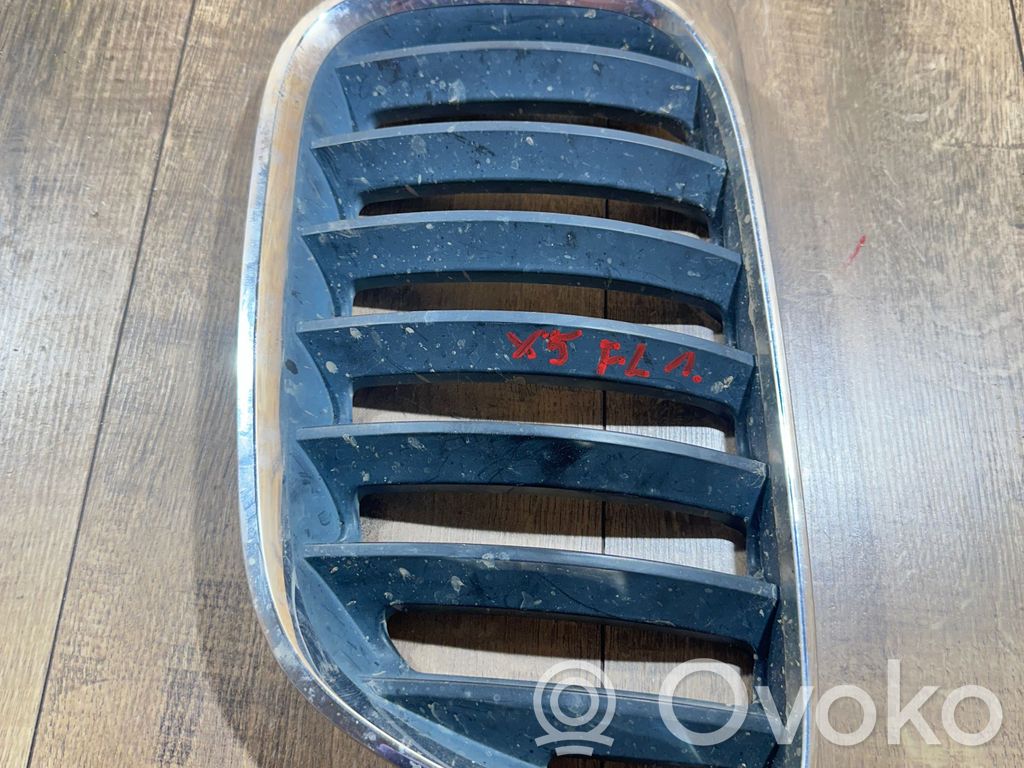 BMW X5 E53 Grotelės viršutinės 