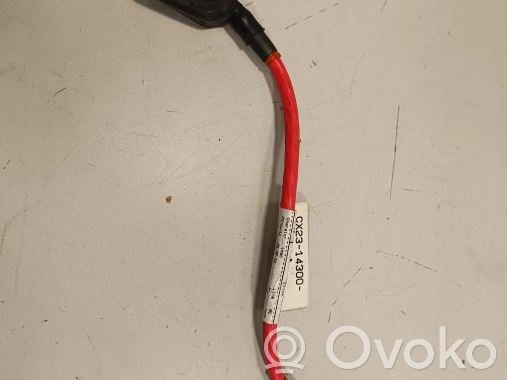 Plus / Klema / Przewód akumulatora   CX2314300FA,CX2314300