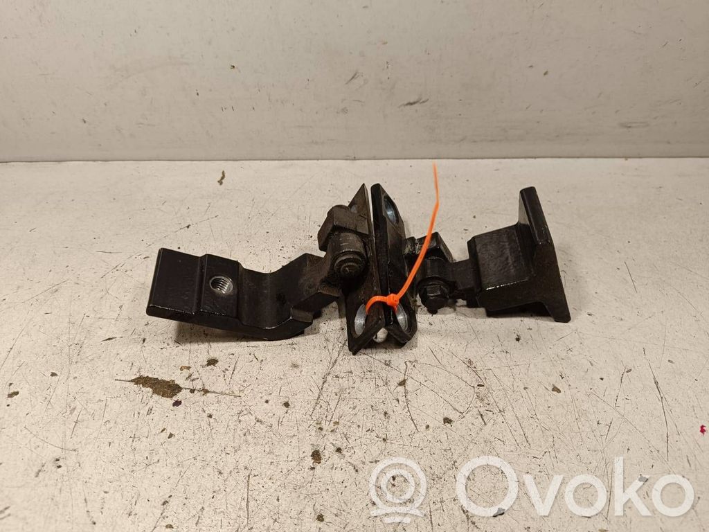 BMW X6 E71 Rear door hinge set 