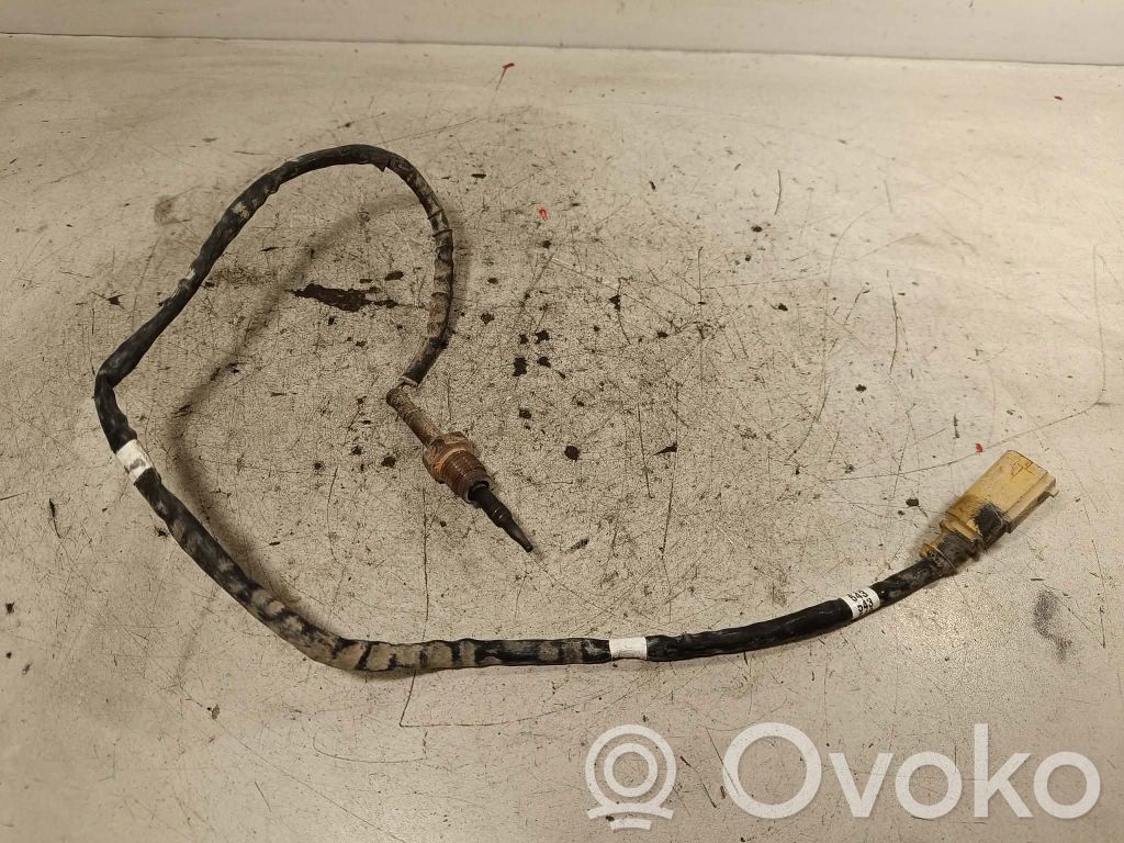 Volkswagen Amarok Exhaust gas temperature sensor 