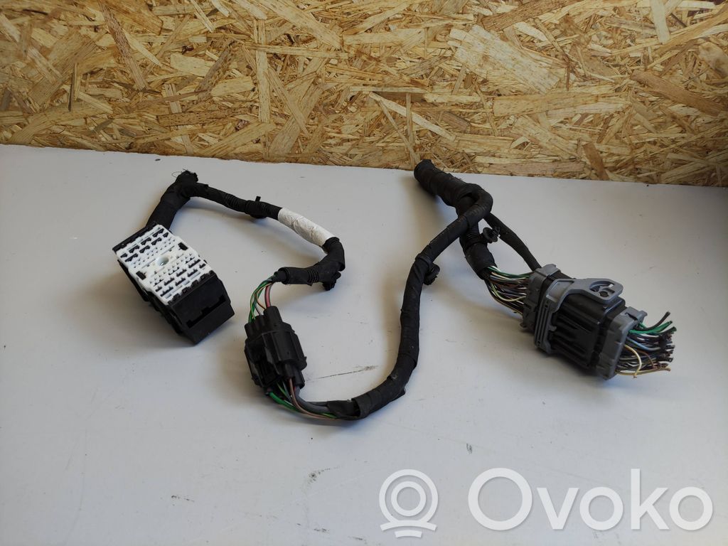 Other wiring loom