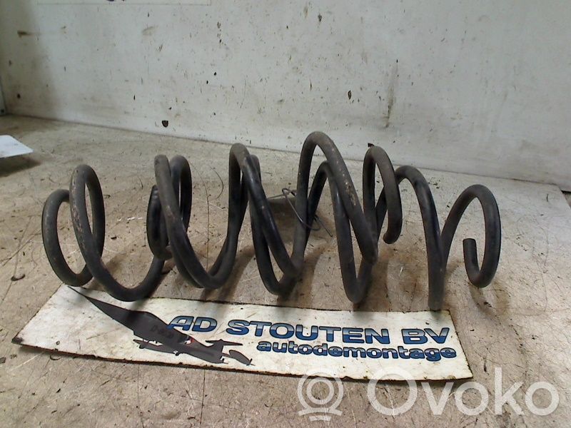 Rear coil spring