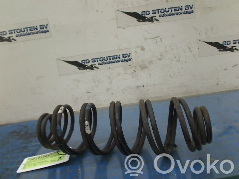 Rear coil spring