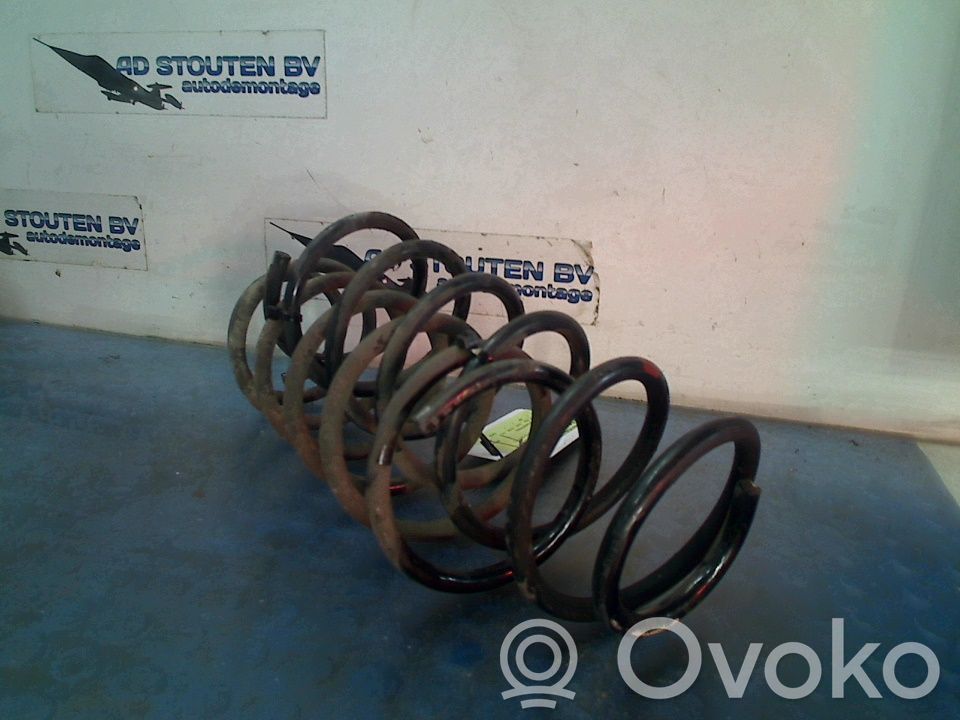 Rear coil spring