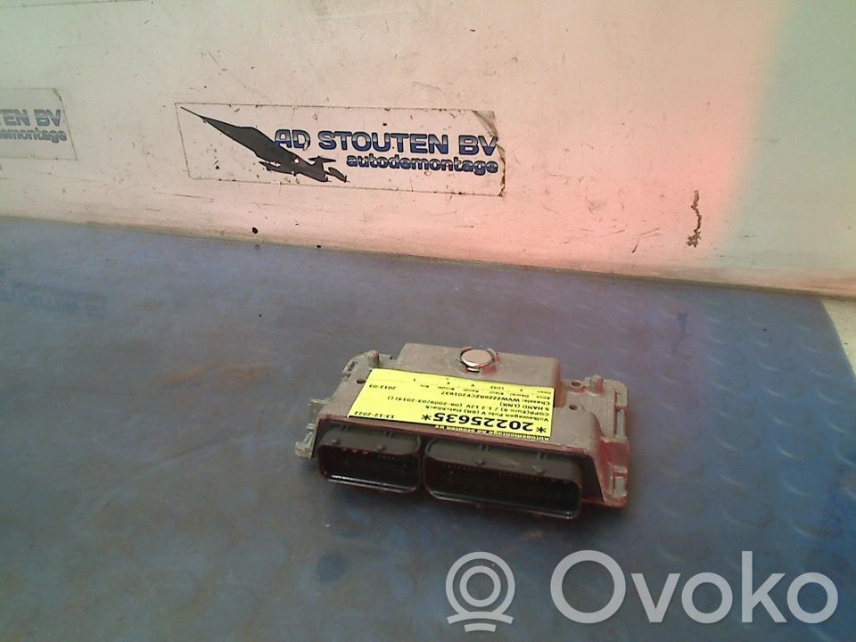 Volkswagen Polo V 6R Centralina/modulo del motore