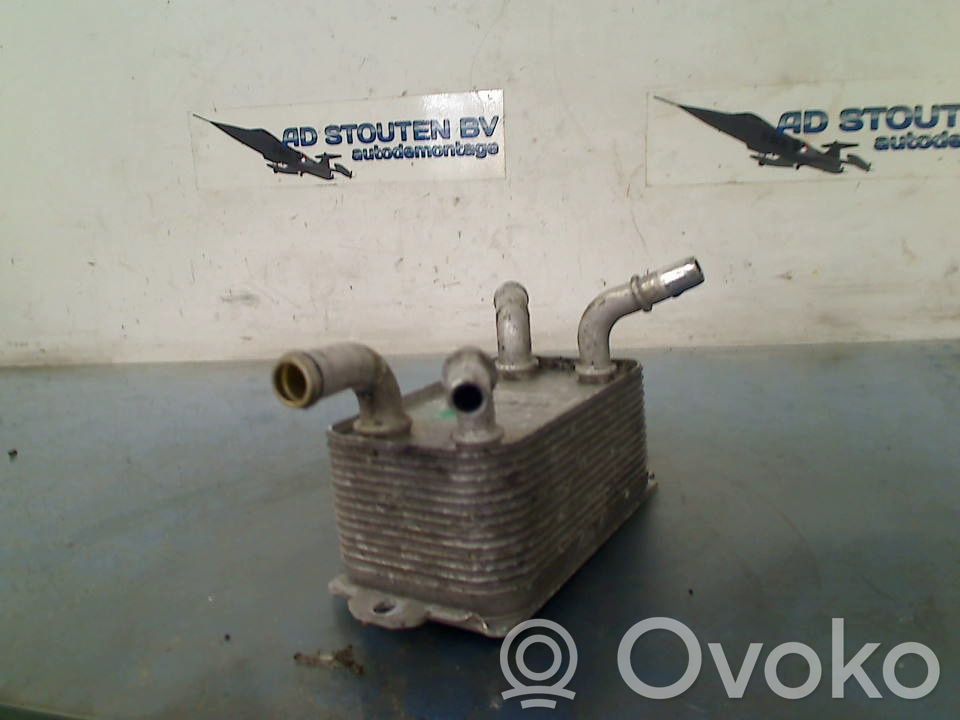 Volvo V50 Ölkühler 