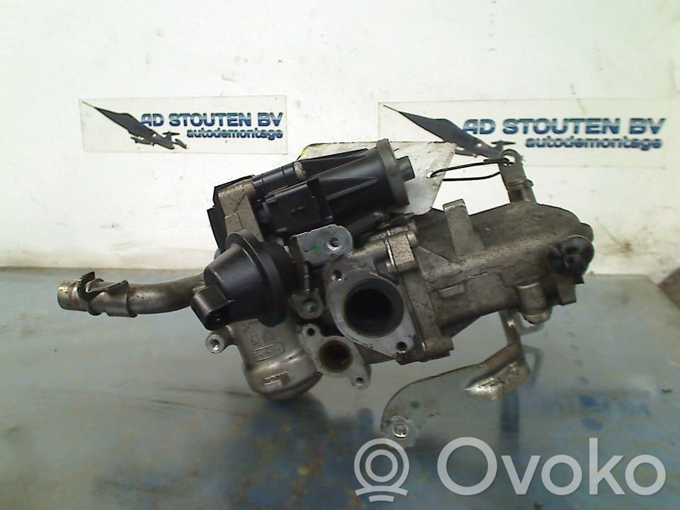 Citroen Berlingo Valvola EGR