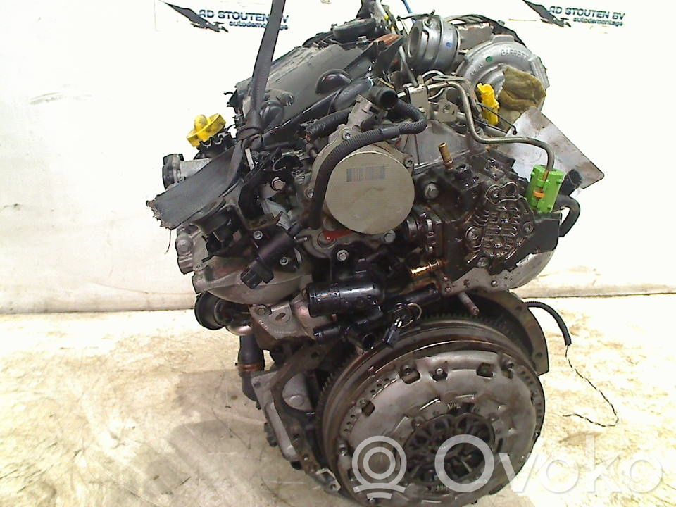 Motore