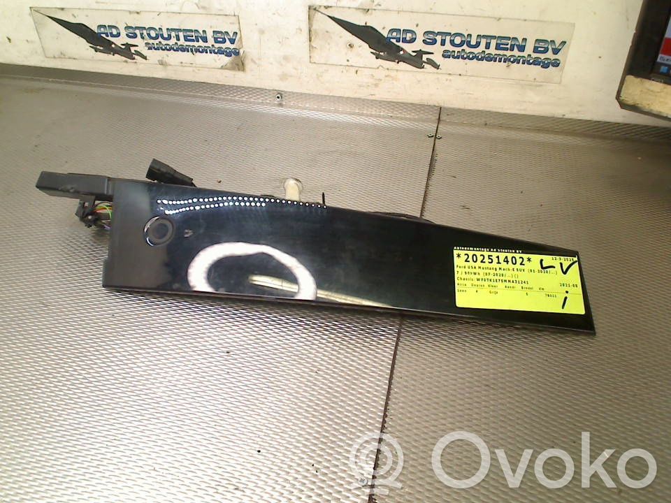 Ford Mustang Mach-E Autobatterie