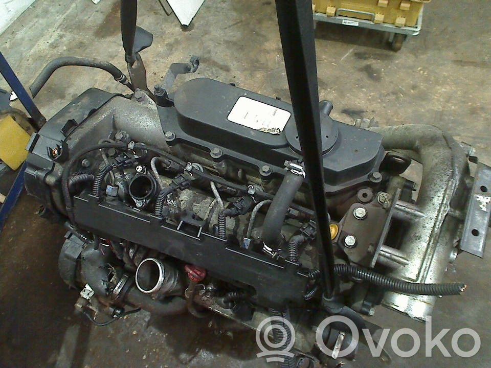 Motore   F1AE0481C,F1AE0481C,F1AE0481C
