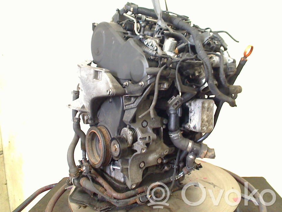 Volkswagen Polo V 6R Motor
