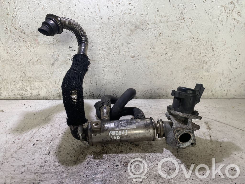Peugeot 3008 I EGR aušintuvas 