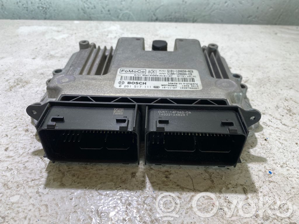 Ford Fiesta Engine control unit/module 