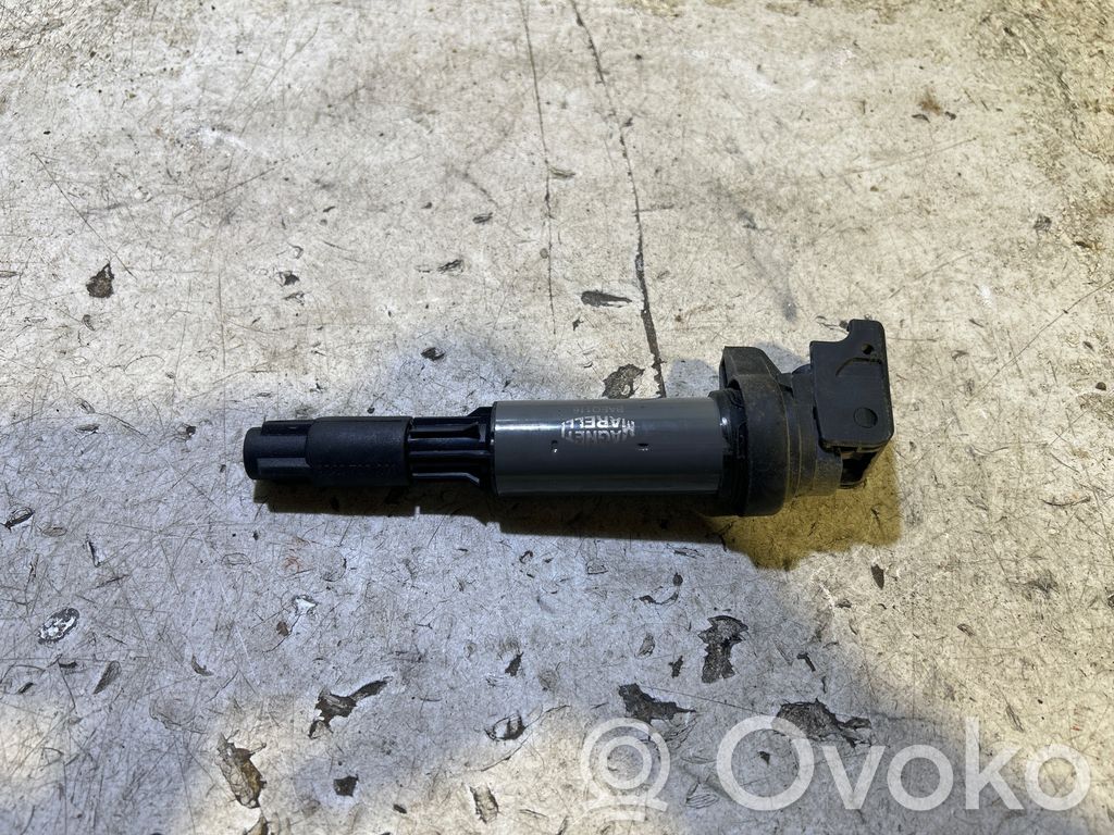 BMW 7 E65 E66 Aukštos įtampos ritė "babyna" 