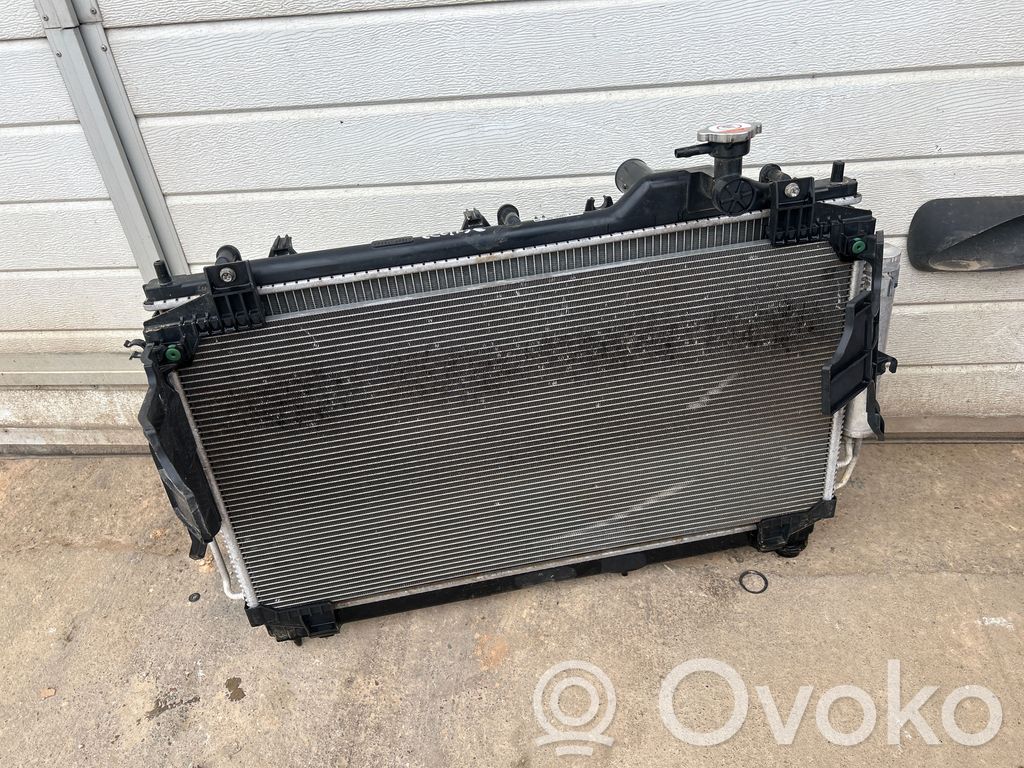 Radiator set   190621