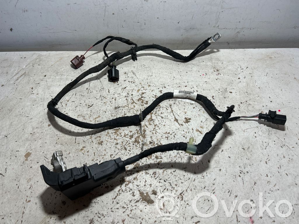 Volkswagen Golf VIII Cabluri electromotor 