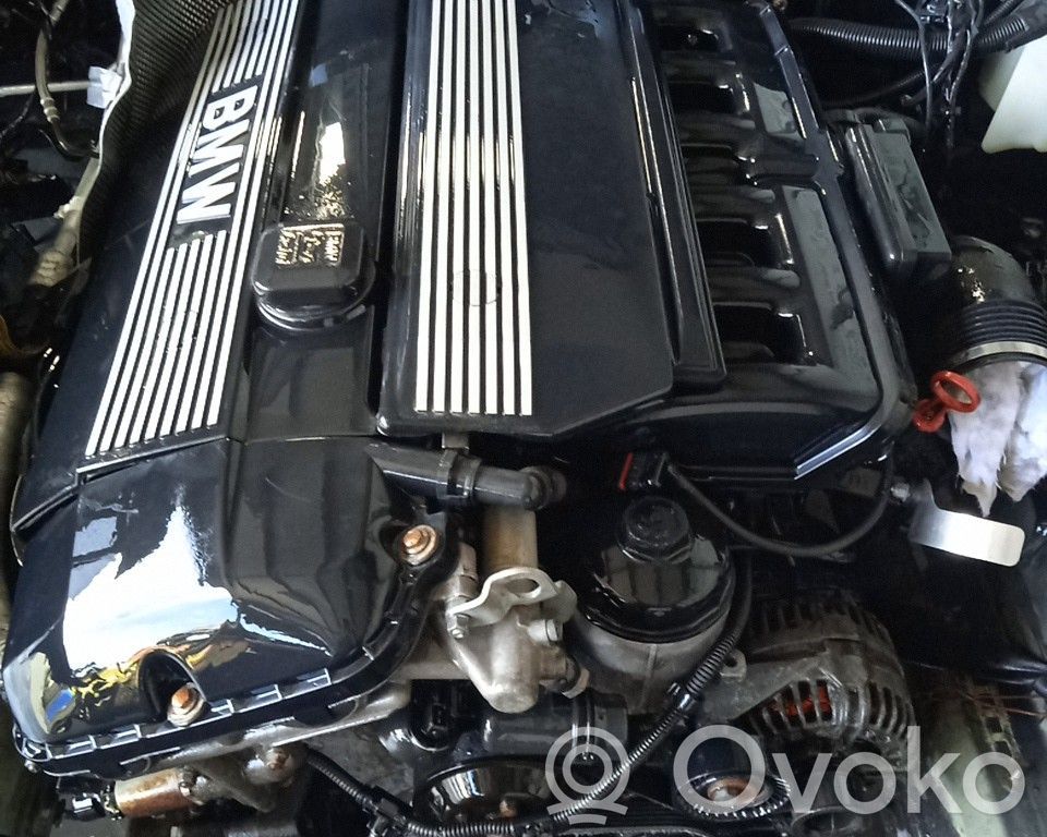 Variklis   226S1