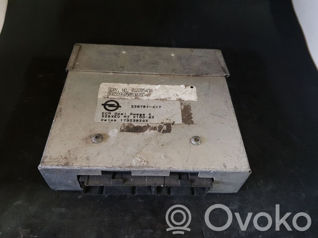 Engine control unit/module   173238202