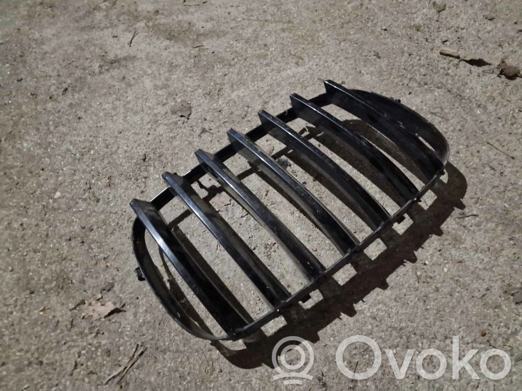 BMW X5 E70 Front bumper upper radiator grill 