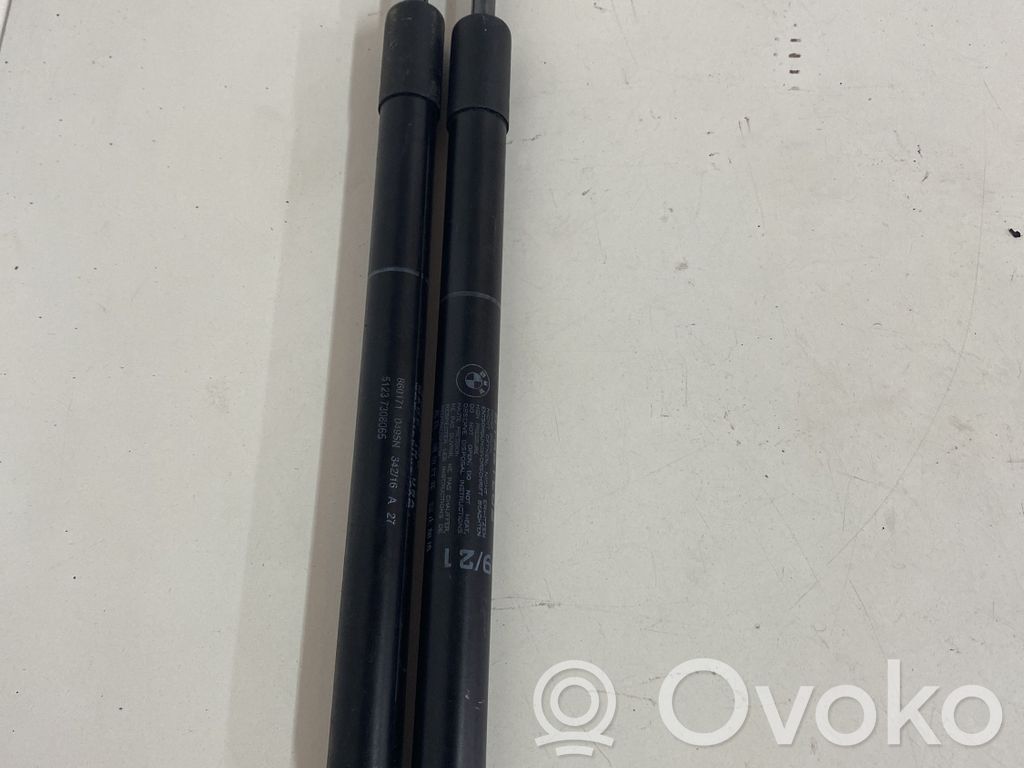 BMW X5 F15 Ammortizzatore portellone anteriore/cofano 