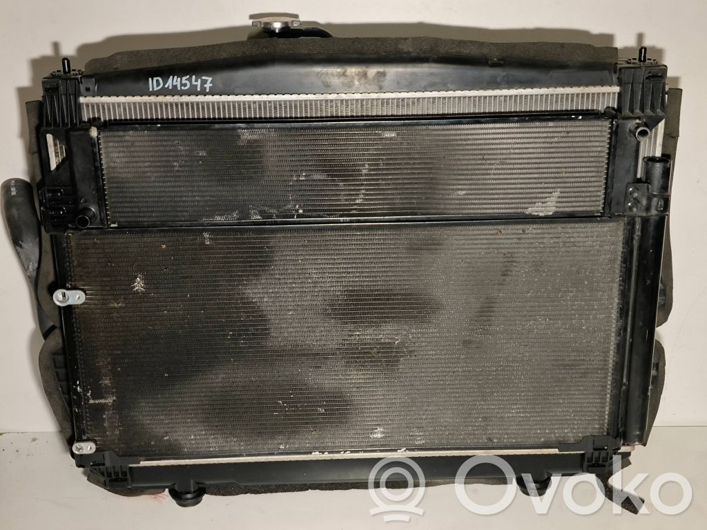 Lexus RX 450H Radiator set 